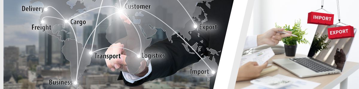 Import Export ERP Software in Ontario, Canada